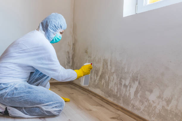 Bathroom Mold Removal assessment in Ashland bathroom